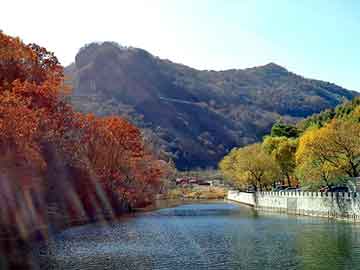 澳门二四六天天彩图库，菜鸟黑客教程